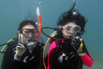 ファンダイビング日帰りツアー