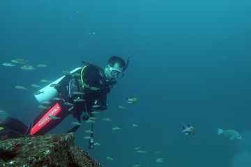 アドバンスドオープンウォーターダイバーコース