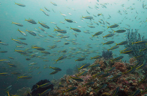 オーバーホール